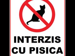 Placuta interzis cu pisica